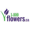 1800 Flowers Coupons 1800 Flowers Coupons