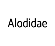 Alodidae Coupons