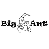 Big Ant Coupons