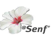 Blumen Senf Coupons