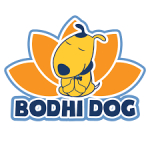 Bodhi Dog Coupons