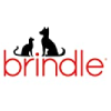 Brindle Coupons