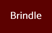 Brindle Coupons Brindle Coupons