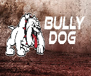 Bully Dog Coupons