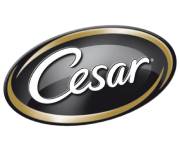 Cesar Coupons Cesar Coupons