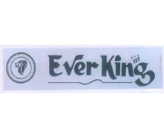 E Everking Coupons E Everking Coupons