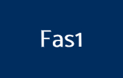 Fas1 Coupons Fas1 Coupons
