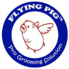 Flying Pig Grooming Coupons