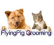 Flying Pig Grooming Coupons Flying Pig Grooming Coupons