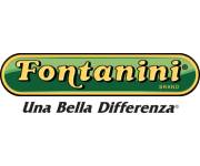 Fontanini Coupons