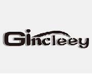 Gincleey Coupons