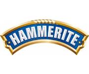 Hammerite Coupons