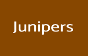Junipers Coupons Junipers Coupons