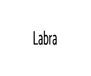 Labra Coupons Labra Coupons