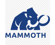 Mammoth Coupons Mammoth Coupons