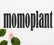 Momoplant Coupons Momoplant Coupons