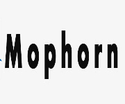 Mophorn Coupons