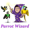 Parrot Wizard Coupons
