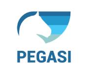 Pegasi Coupons