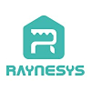 Raynesys Coupons