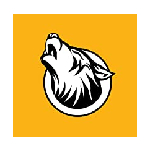 Yellopro Coupons Yellopro Coupons