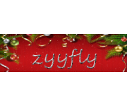 Zyyfly Coupons