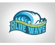 Blue Wave Sports Coupons Blue Wave Sports Coupons