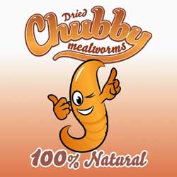 Chubby Mealworms Coupons