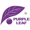 Purple Leaf Coupons