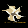 Yomandamor Coupons Yomandamor Coupons