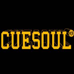 Cuesoul Snooker Cue Coupons