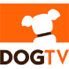 Dogtv Coupons Dogtv Coupons