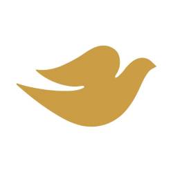 Dove Coupons Dove Coupons