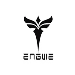 Engwe Coupons