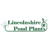 Lincolnshire Pond Plants Coupons Lincolnshire Pond Plants Coupons