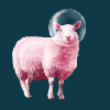 Pink Sheep Wellness Coupons Pink Sheep Wellness Coupons
