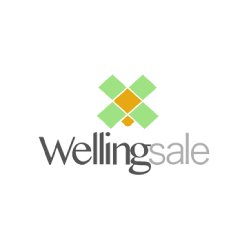 Wellingsale Coupons